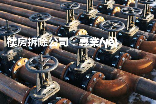 樓房拆除公司：專業(yè)高效，安全拆除專家